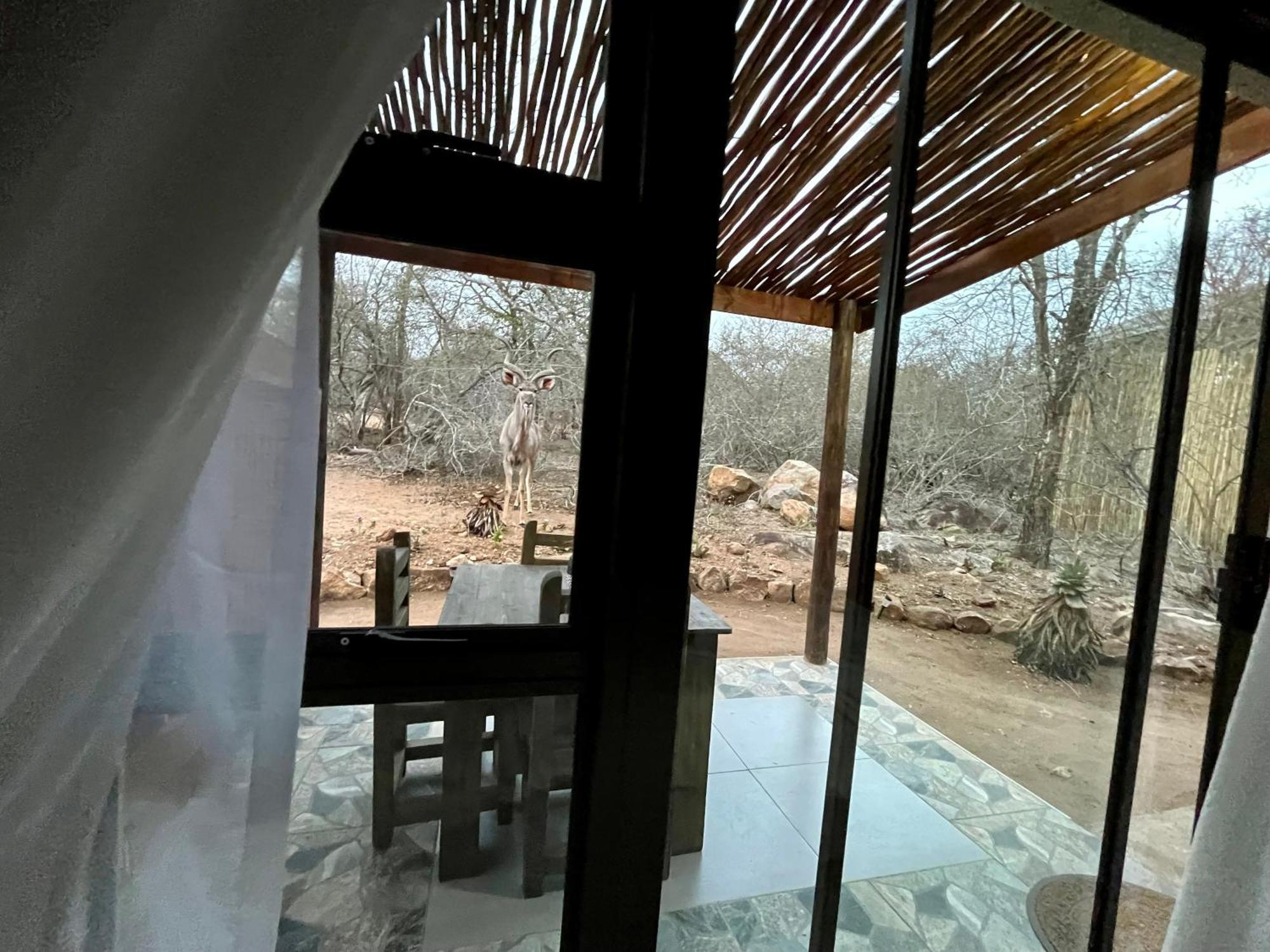 Kholiwe On Kruger Lodge & Safaris Marloth Park Zewnętrze zdjęcie