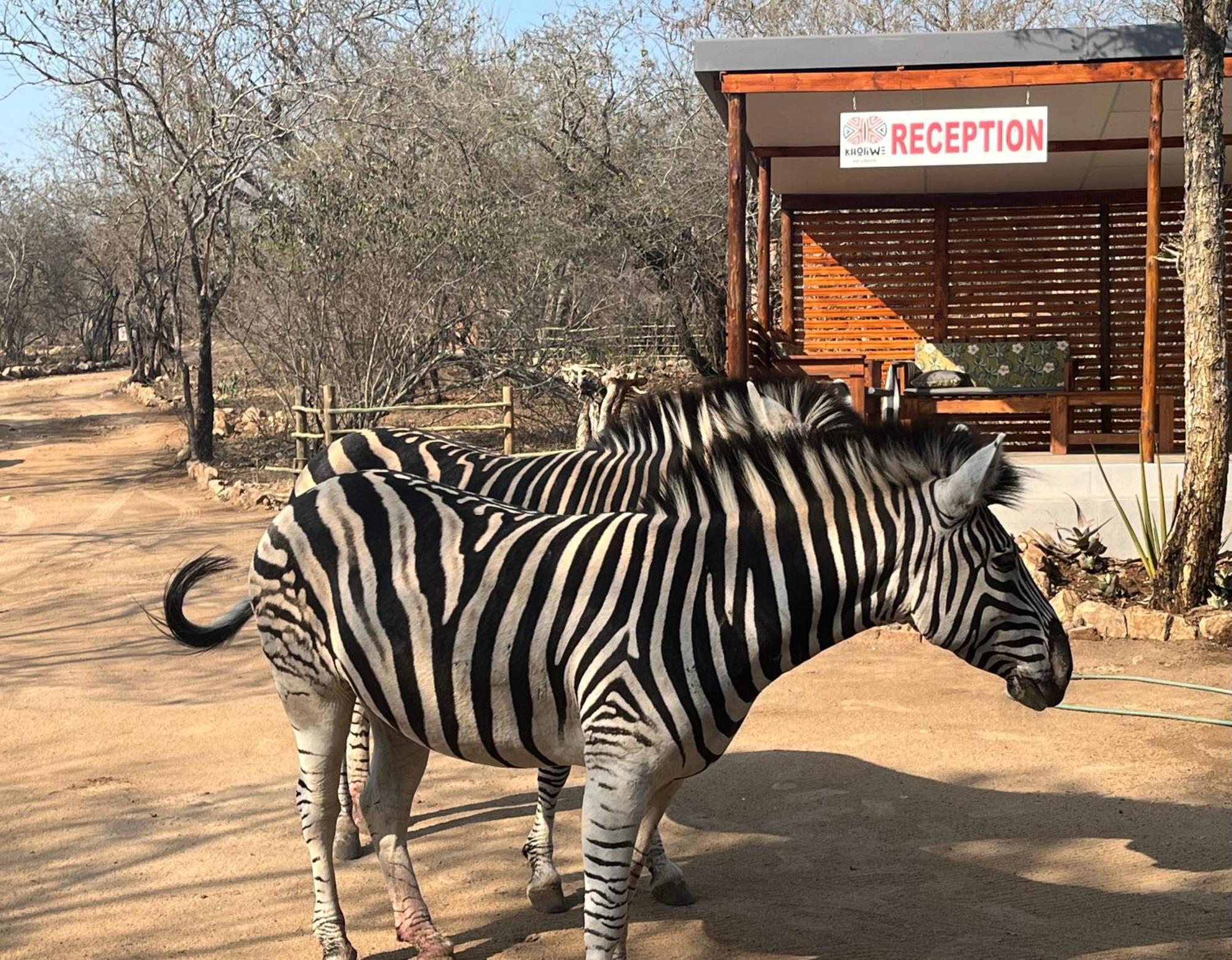 Kholiwe On Kruger Lodge & Safaris Marloth Park Zewnętrze zdjęcie
