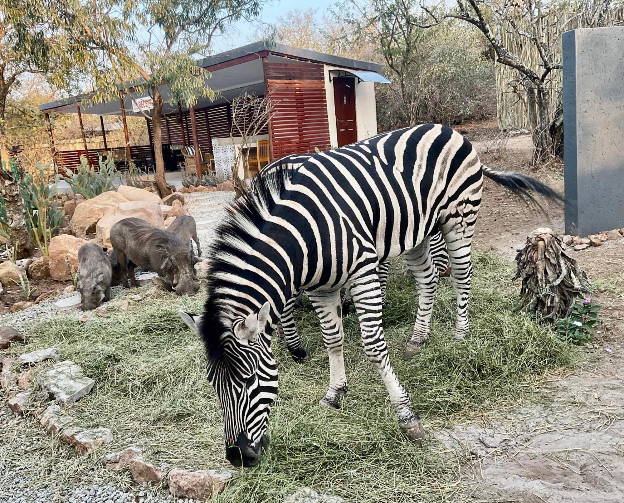 Kholiwe On Kruger Lodge & Safaris Marloth Park Zewnętrze zdjęcie