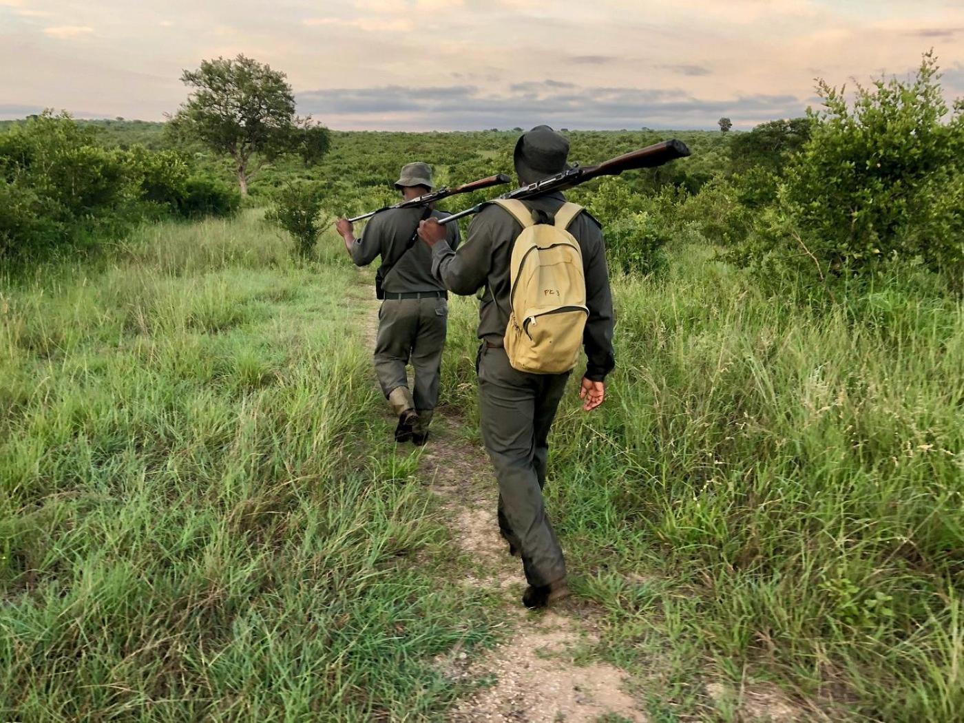 Kholiwe On Kruger Lodge & Safaris Marloth Park Zewnętrze zdjęcie